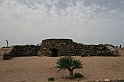 Kanary_2010 203
